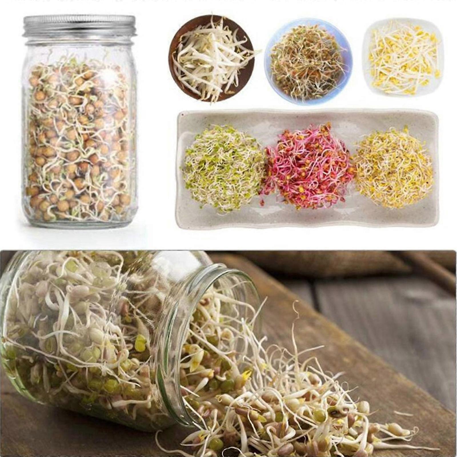 1 Set Seed Sprouting Jar Kit Mouth Sprouting Jar With Screen Lid Stands
