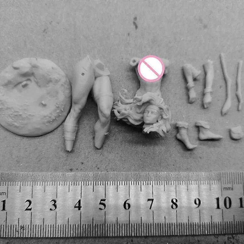 レジンフィギュア 1/24スケール 75mmフィギュア 組み立てモデルキット 部族 女戦士 DIY 組み立て済み ジオラマ 未塗装 小像 おもちゃ