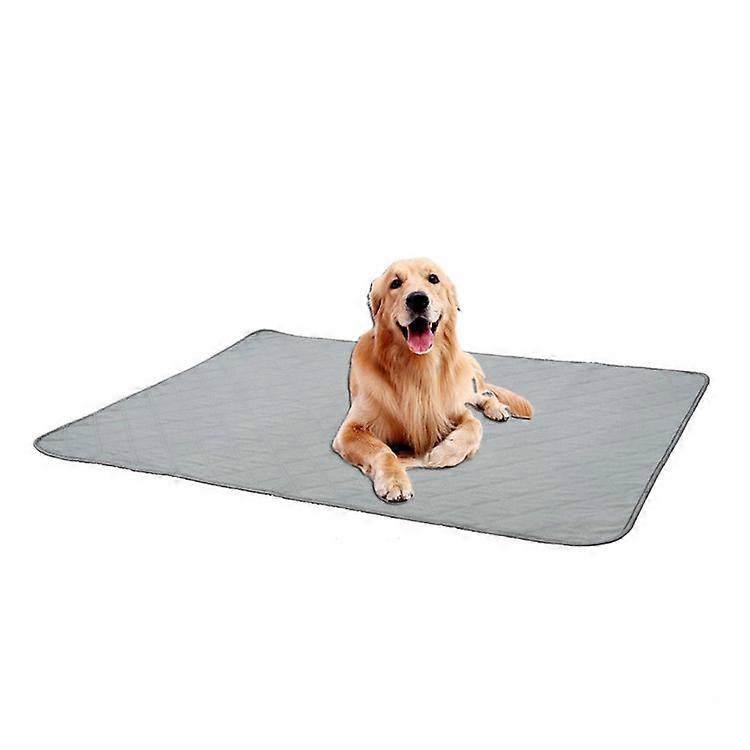 Pet Isolated Mat, Size: L (Gray)