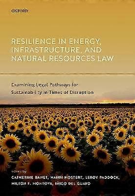 Resilience in Energy Infrastructure and Natural Resources Law