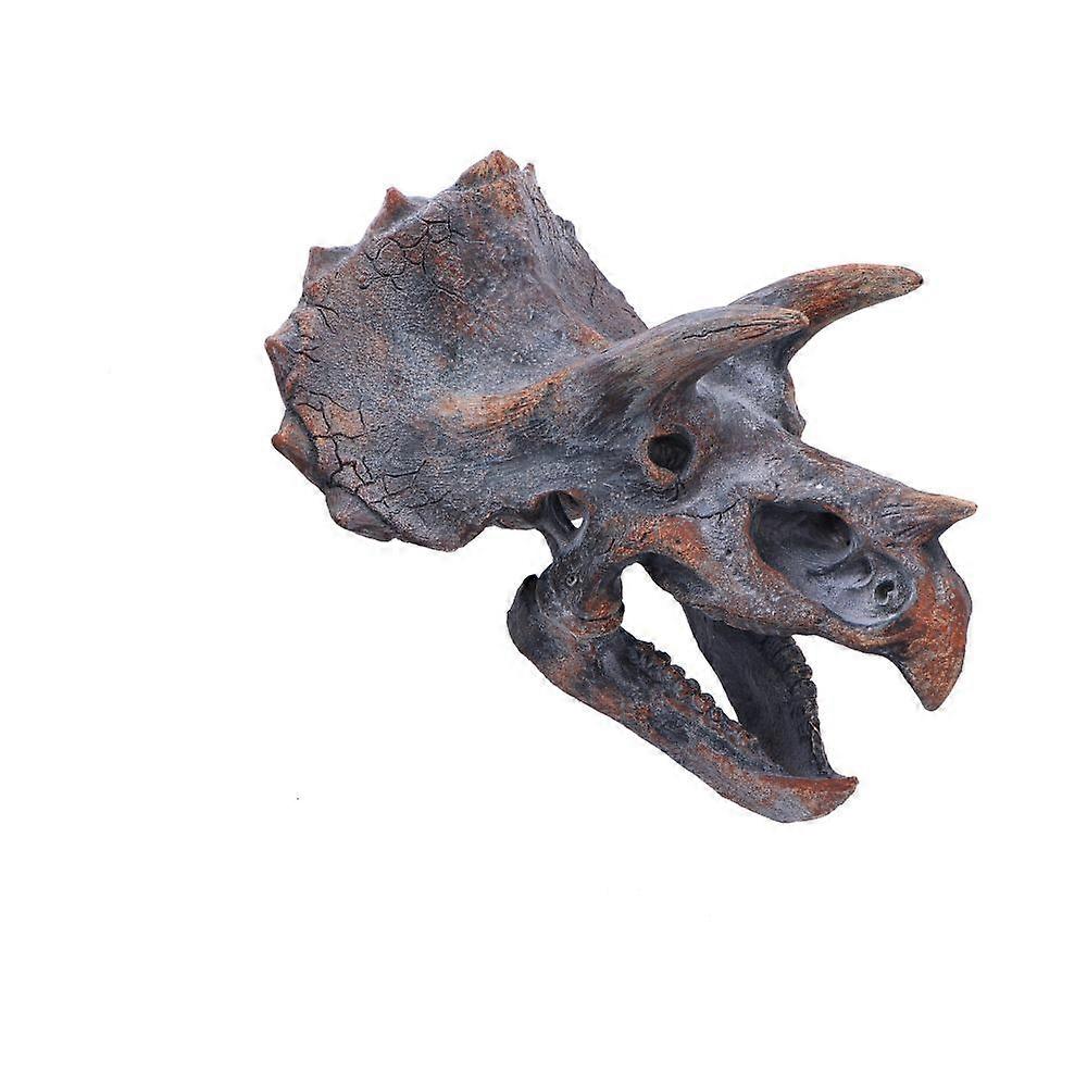 Triceratops Dinosaur Skull 23cm