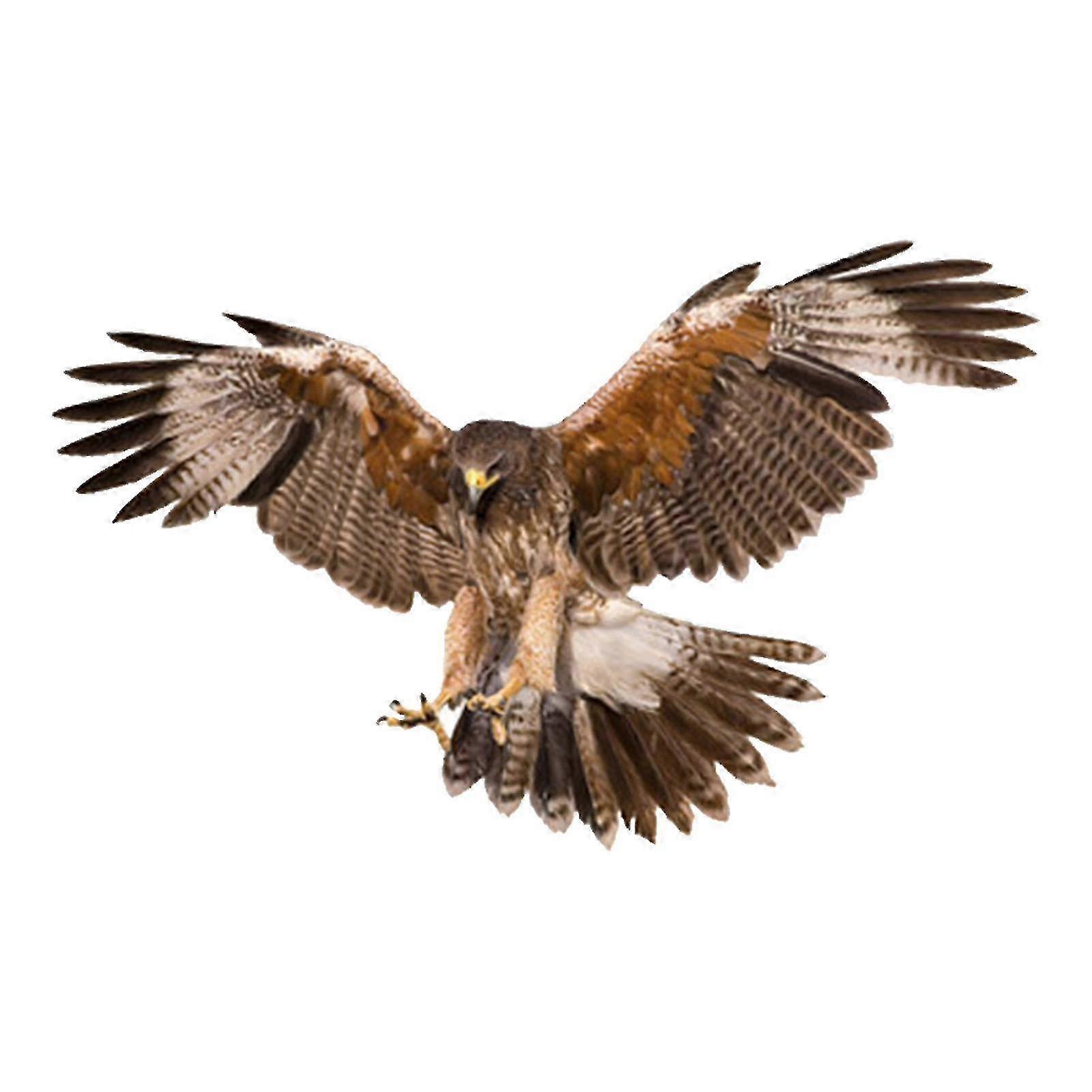 Reflective and Waterproof Set of 2 Bird Car Stickers for Vehicle Hood and Window Suitable for Laptops and Skateboards