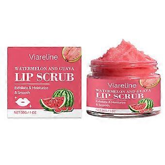 Watermelon and Guava Lip Scrub Professional Lip Care lip Cosmetic Product