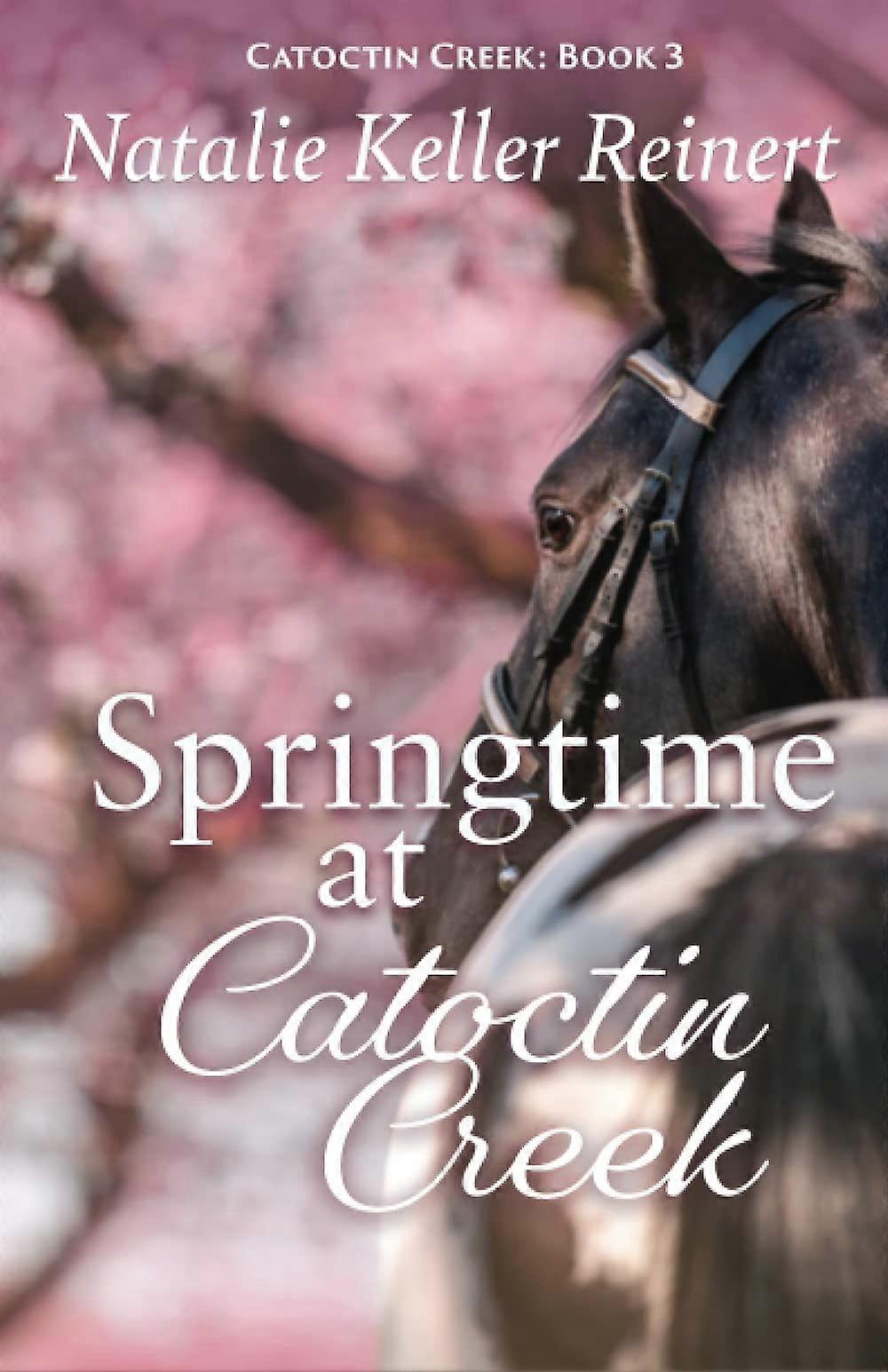Springtime at catoctin creek