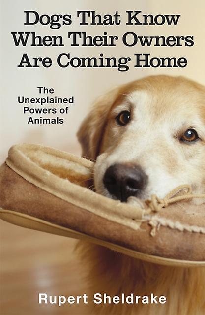 Dogs That Know When Their Owners Are Coming Home by Rupert Sheldrake Paperback Book