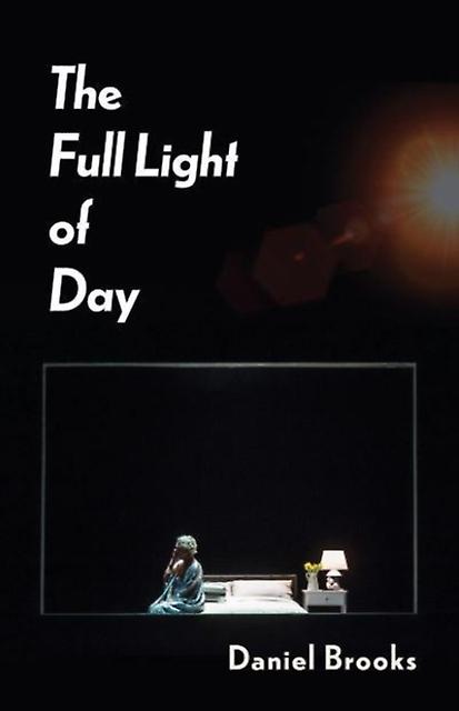 The Full Light Of Day by Daniel Brooks Paperback