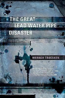 The Great Lead Water Pipe Disaster