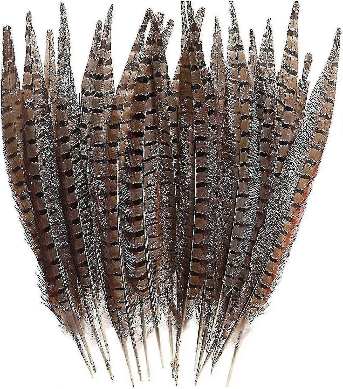 30 Pcs Natural Pheasant Feathers,diy Pheasant Tails Feather,15-28 Cm Soft Native Plume