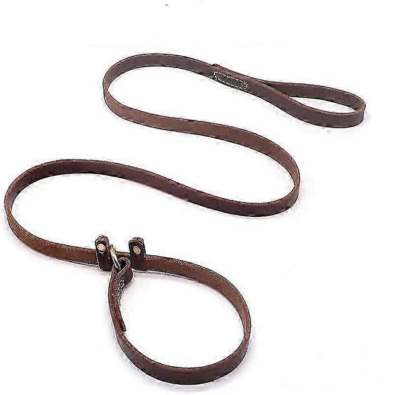 Pet slip lead for large dogs, flat leather training leash