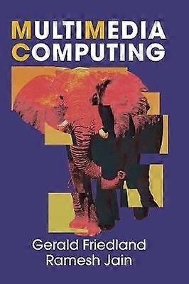 Multimedia Computing