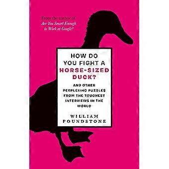 How Do You Fight a Horse-Sized Duck?: And Other Perplexing Puzzles from the Toughest Interviews in the World