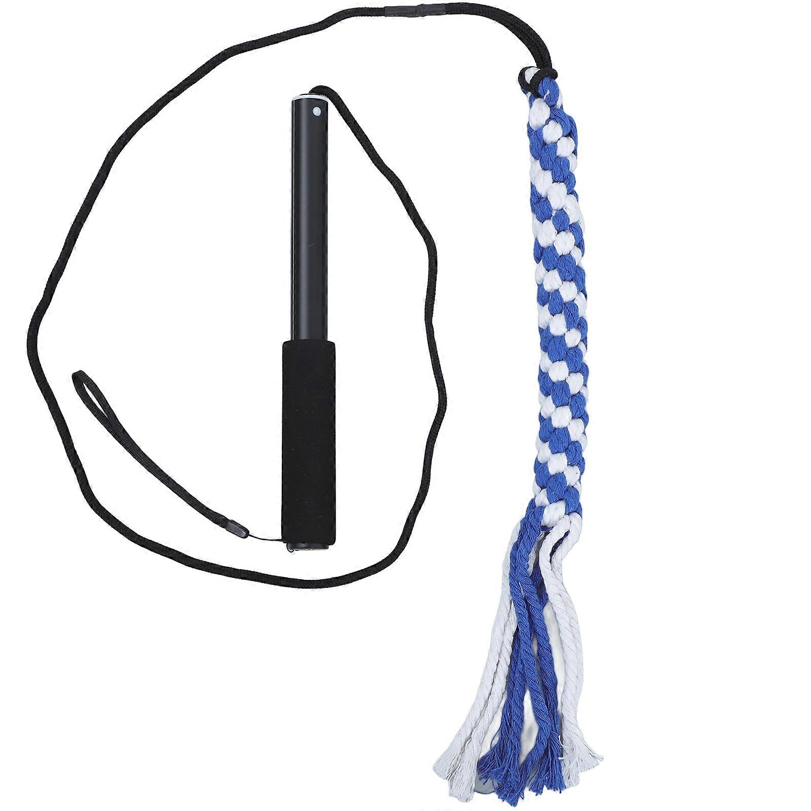 Chasing Interactive Puppy Toys for Dog Exercise 3Pcs Kit