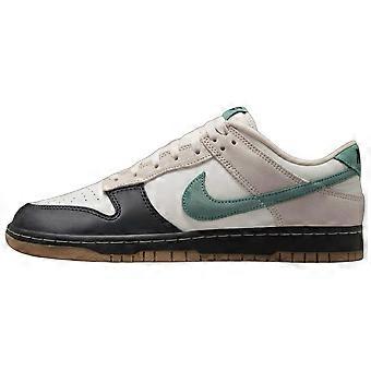 Nike Dunk Low Light Orewood Brun Bicoastal HQ3483-104