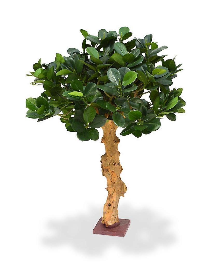 Panda Bonsai (60 cm)