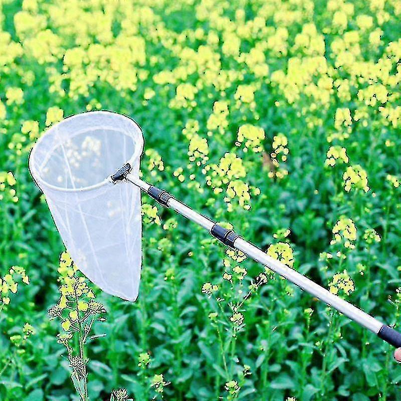 Insect And Butterfly Net, 50cmnet Depth, Handle Extends To 170cm