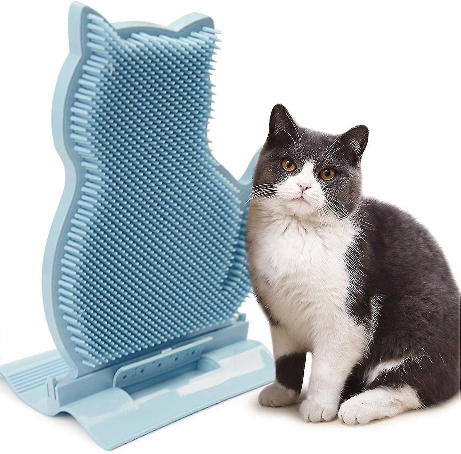 Katzenmassage Bürstenwerkzeug