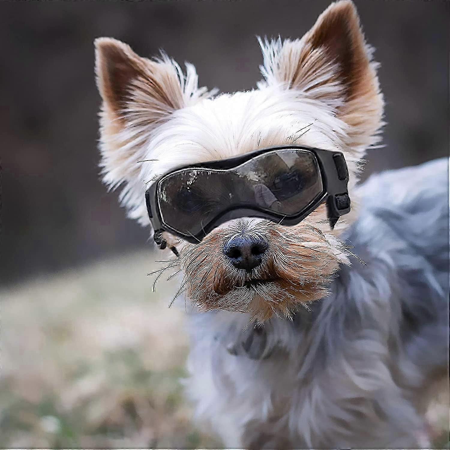 نظارات الكلب سلالة متوسطة ، نظارات شمسية للكلاب سلالة صغيرة حماية ضوء الشمس عين الكلب ، نظارات حماية من الأشعة فوق البنفسجية للكلاب مع أحزمة قابلة للتعديل