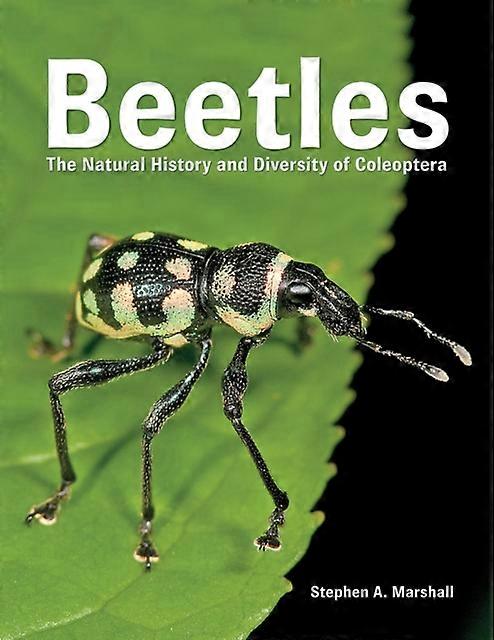 Beetles by Stephen A. Marshall Hardback Book
