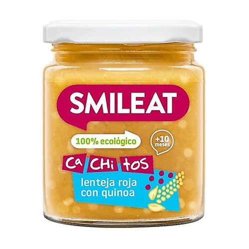 Jar with small pieces of lentils with quinoa 10m+ 230 g