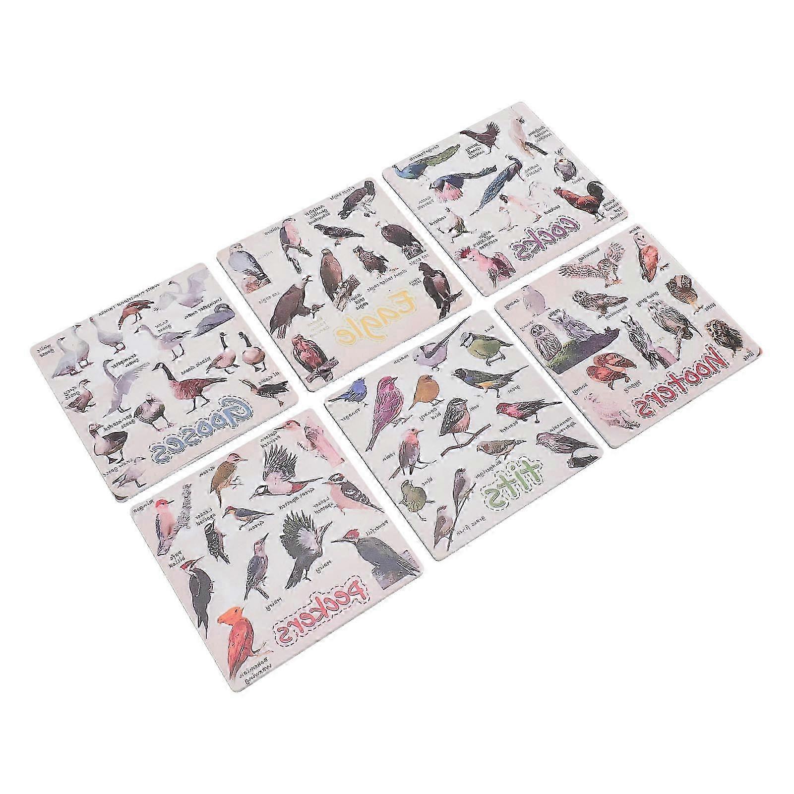 Set of 6 Stylish Exquisite Decorative Multi-Pattern Rectangular Compact Acrylic Coasters for Bird Lovers