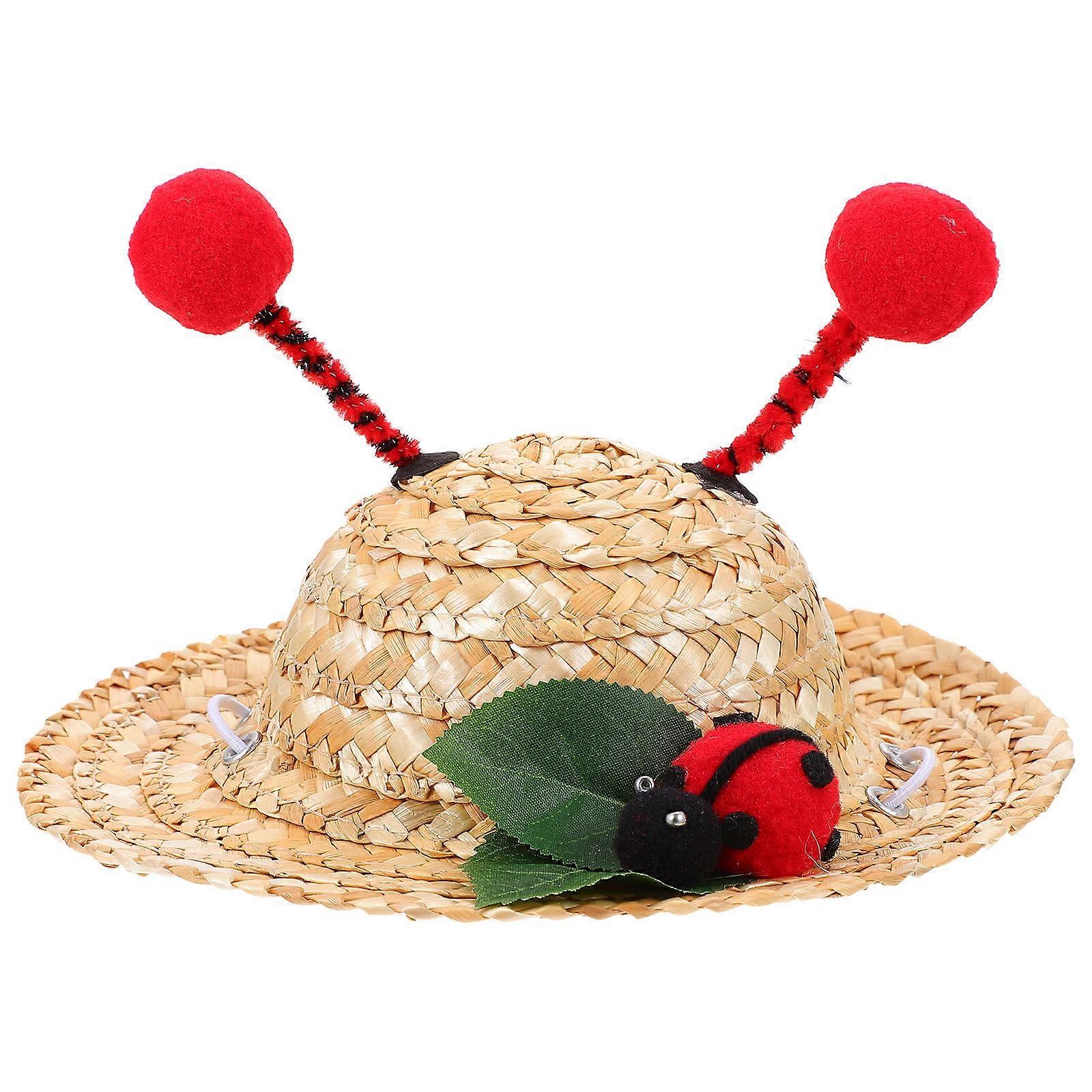 Pet Hat For Indoor Activities Small Dog Cat Kitten Photography Prop 1Pcs