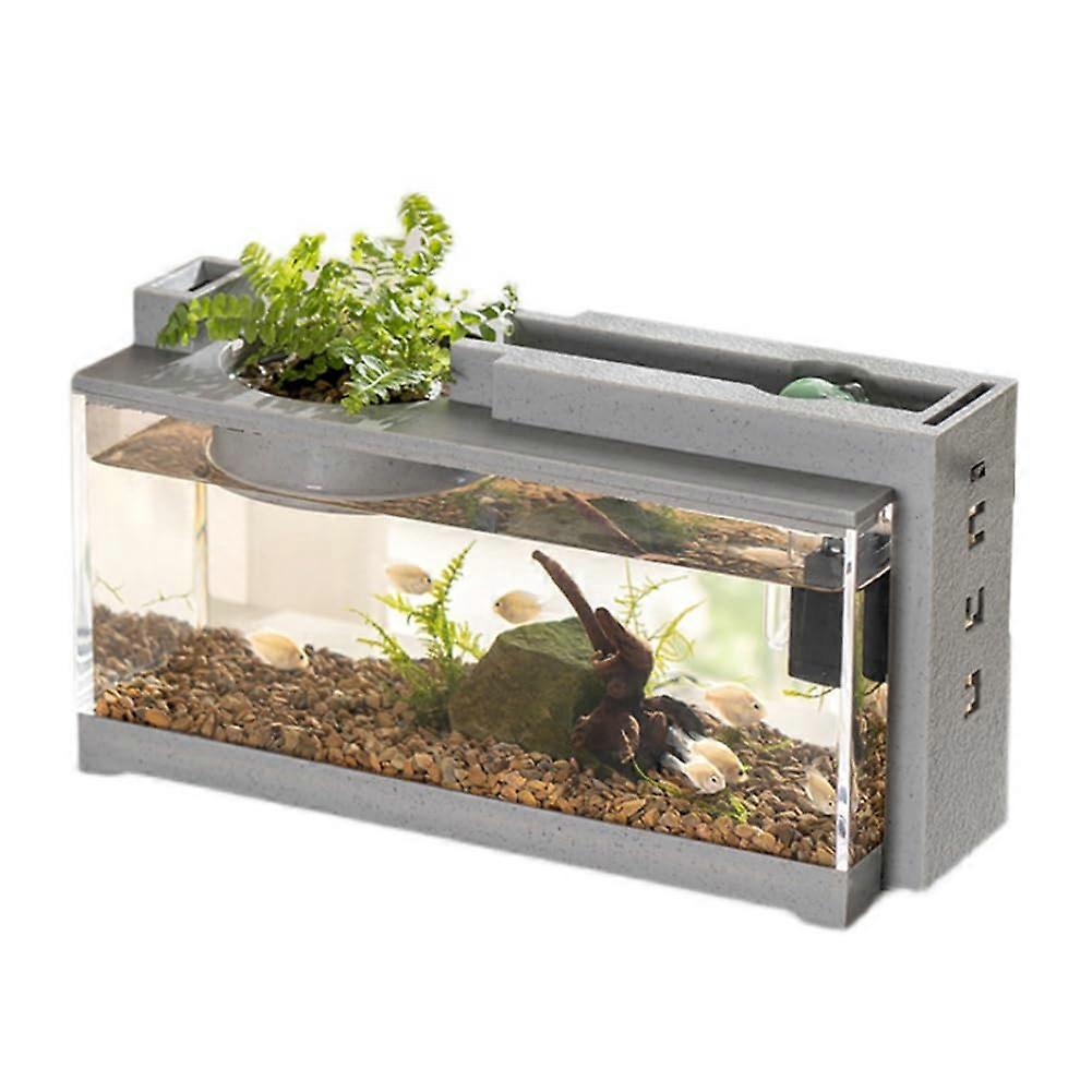 Square Betta Fish Bowl, Micro Landscape Desktop Aquarium Complete Set