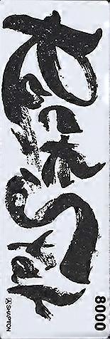 Shapton Rockster 60217