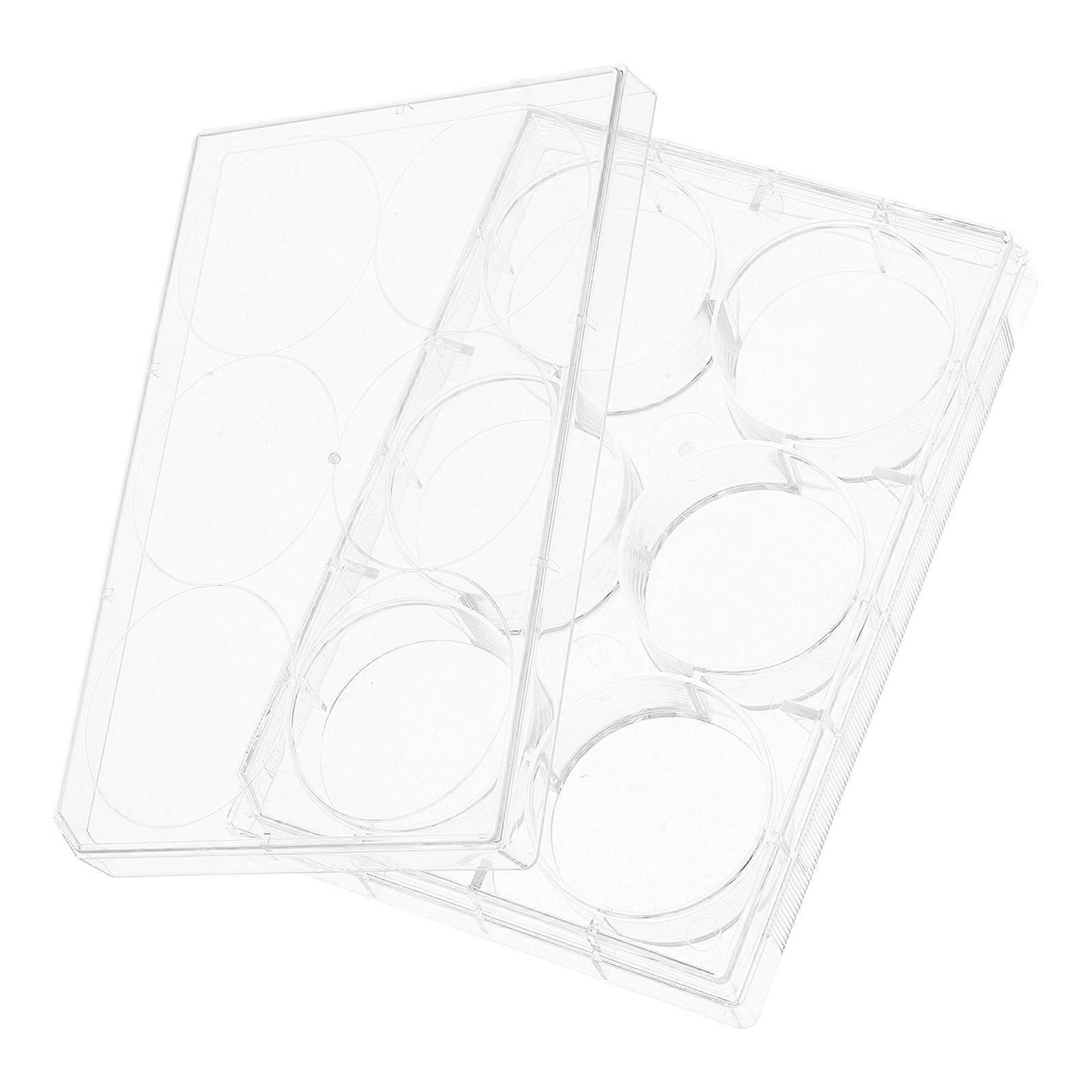 Cell Culture Plate for Laboratory Use 6 Well Transparent Polystyrene