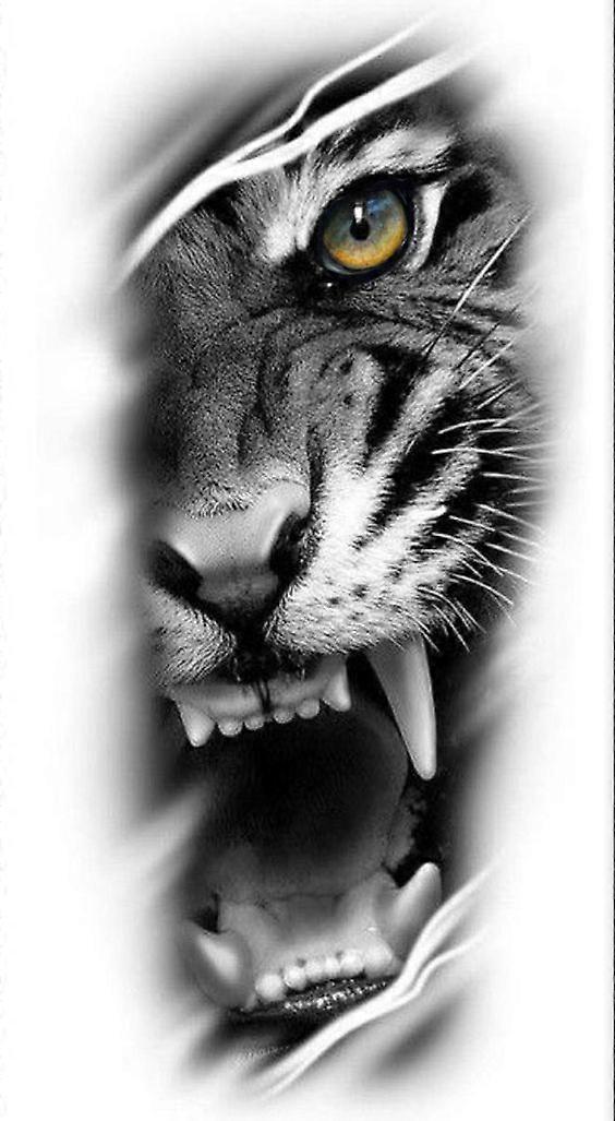 Tiger Jigsaw Puzzle Brain Teaser SD383