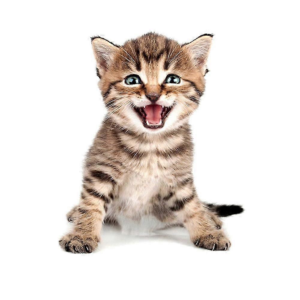 3D Cat Dog Decal Waterproof PVC