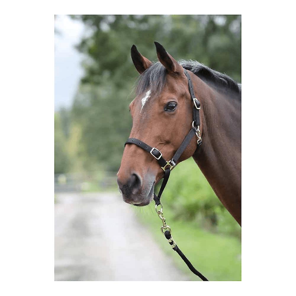 Shires Control Headcollar - Black