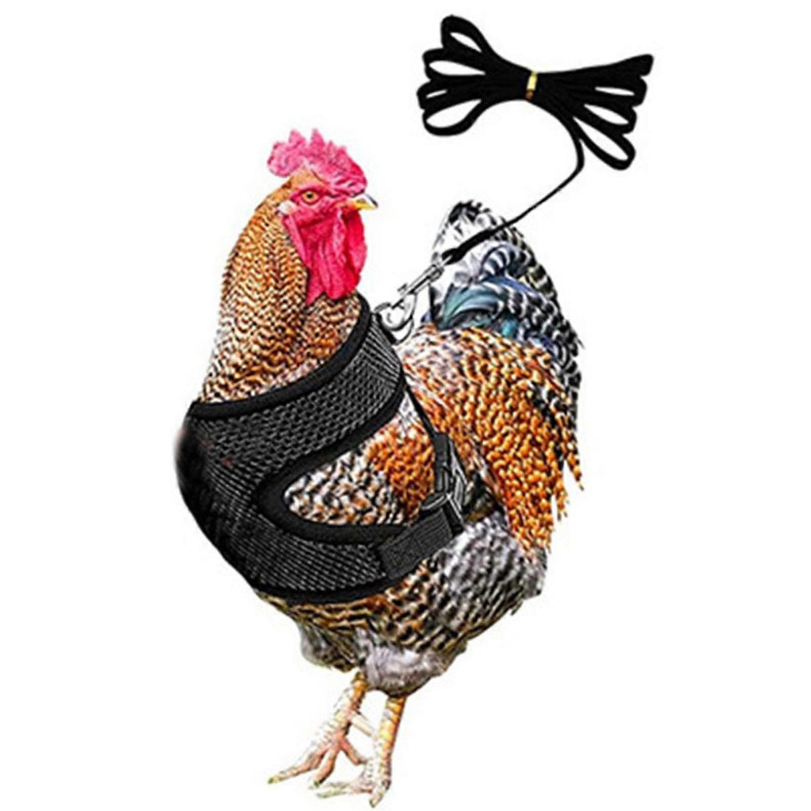 Adjustable Chicken Harness With Leash- Comfortable Hen Vest Breathable Mesh