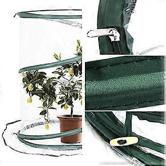 Tragbares Gewchshaus fr kleine Pflanzen Mini-Gewchshaus Grow  Zimmerpflanzen Klte Frostschutz Wind Regensicher Blume Unterstand  Hinterhof Garten Blume Pla | Fruugo DE