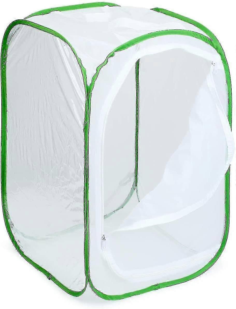 Foldable Insect Cage Butterfly Habitat Cage Seedling Transparent Incubator1pcs