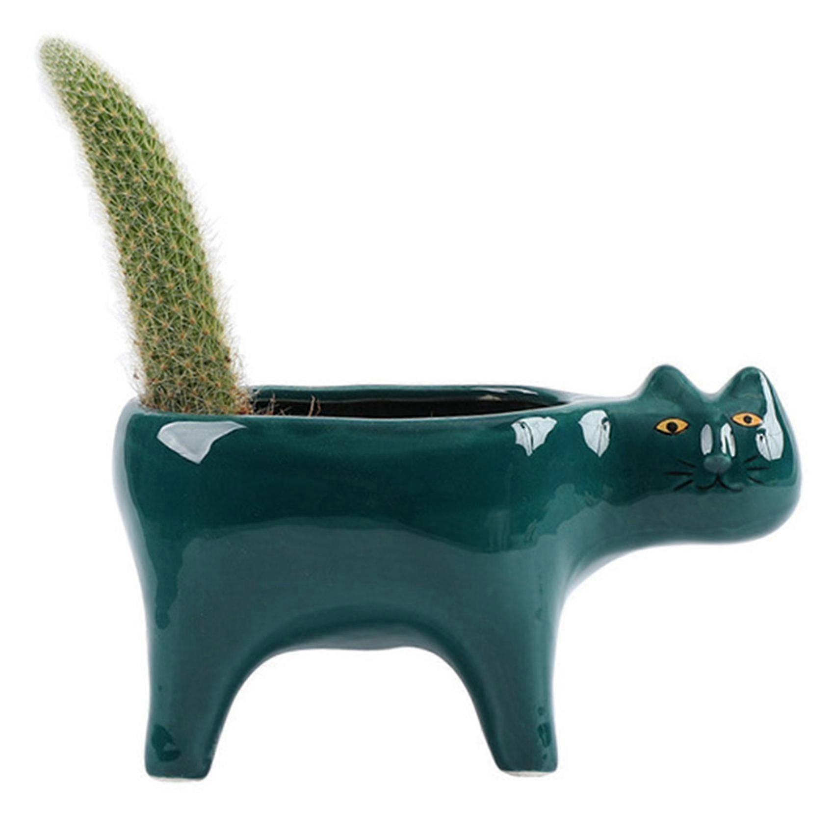Drăguț Cat ceramice Gradina ghiveci de flori imagine cactus plantator plante suculente container Tabl