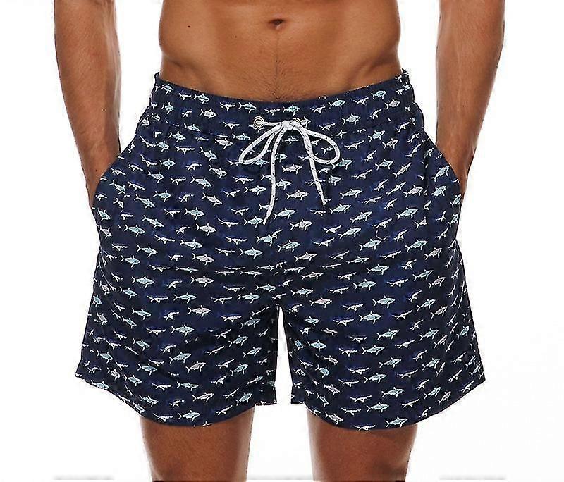 Maillots de bain pour hommes Short de bain à séchage rapide avec doublure en maille Maillots de bain drôles