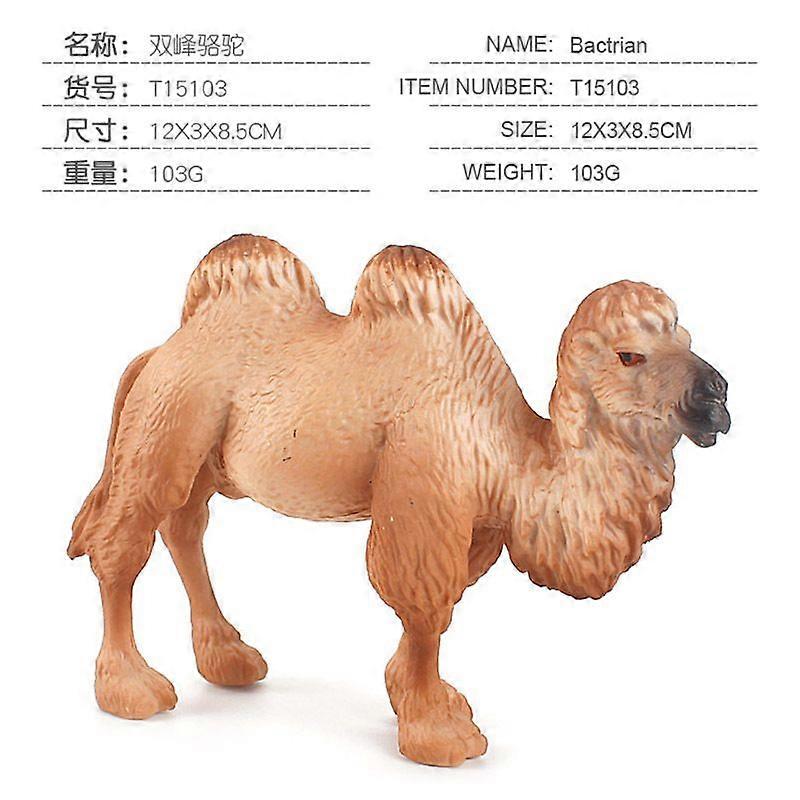 PL127-1355 Double Peak Camel 103G# Desert simulation animal solid large camel model ornament Wild animal double-dromedary camel set toy