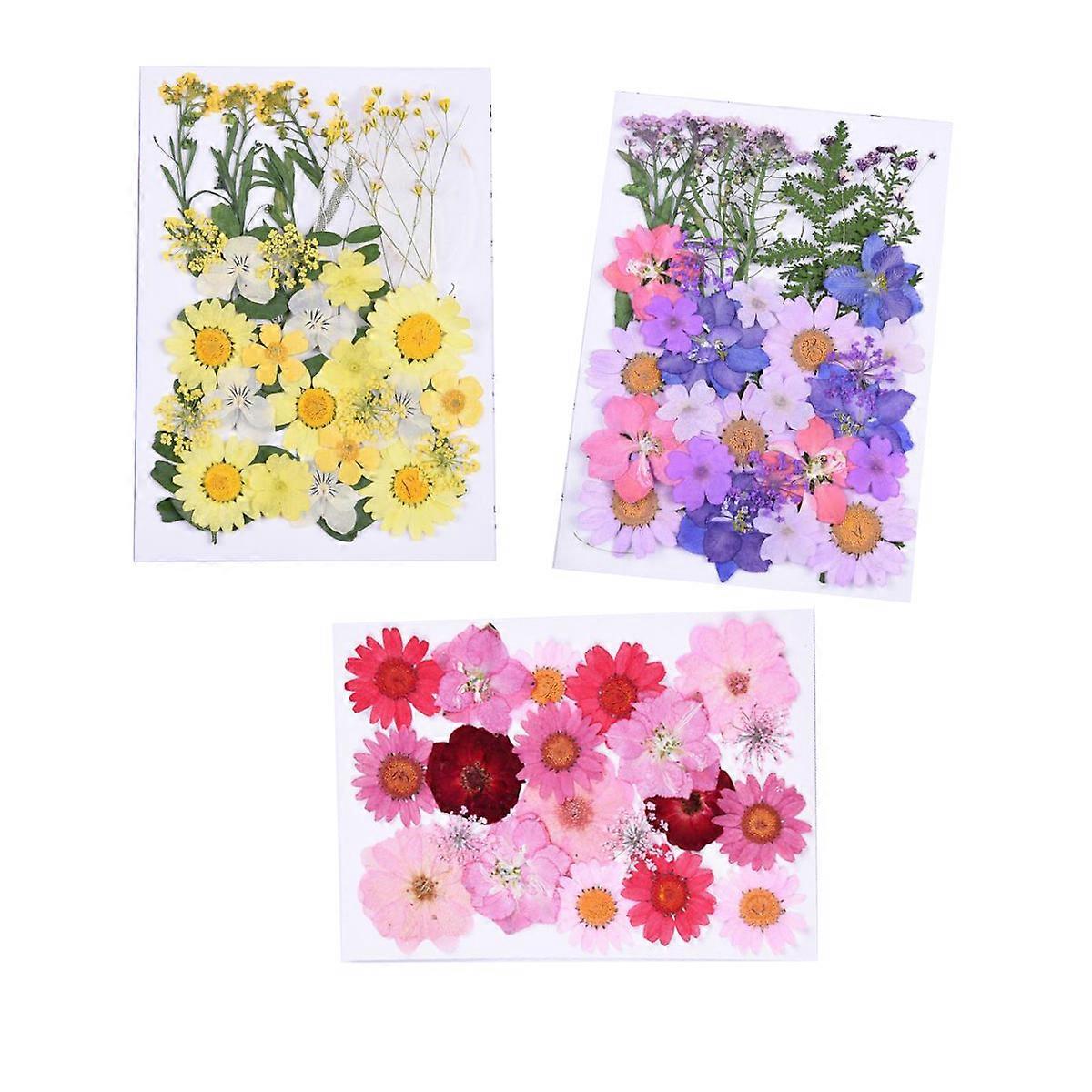 Dried Flowers, Pressed Flowers, Scrapbooking Craft