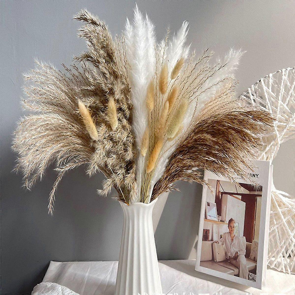 Pampas Grass Small Reed Haretail-80-9 Combination