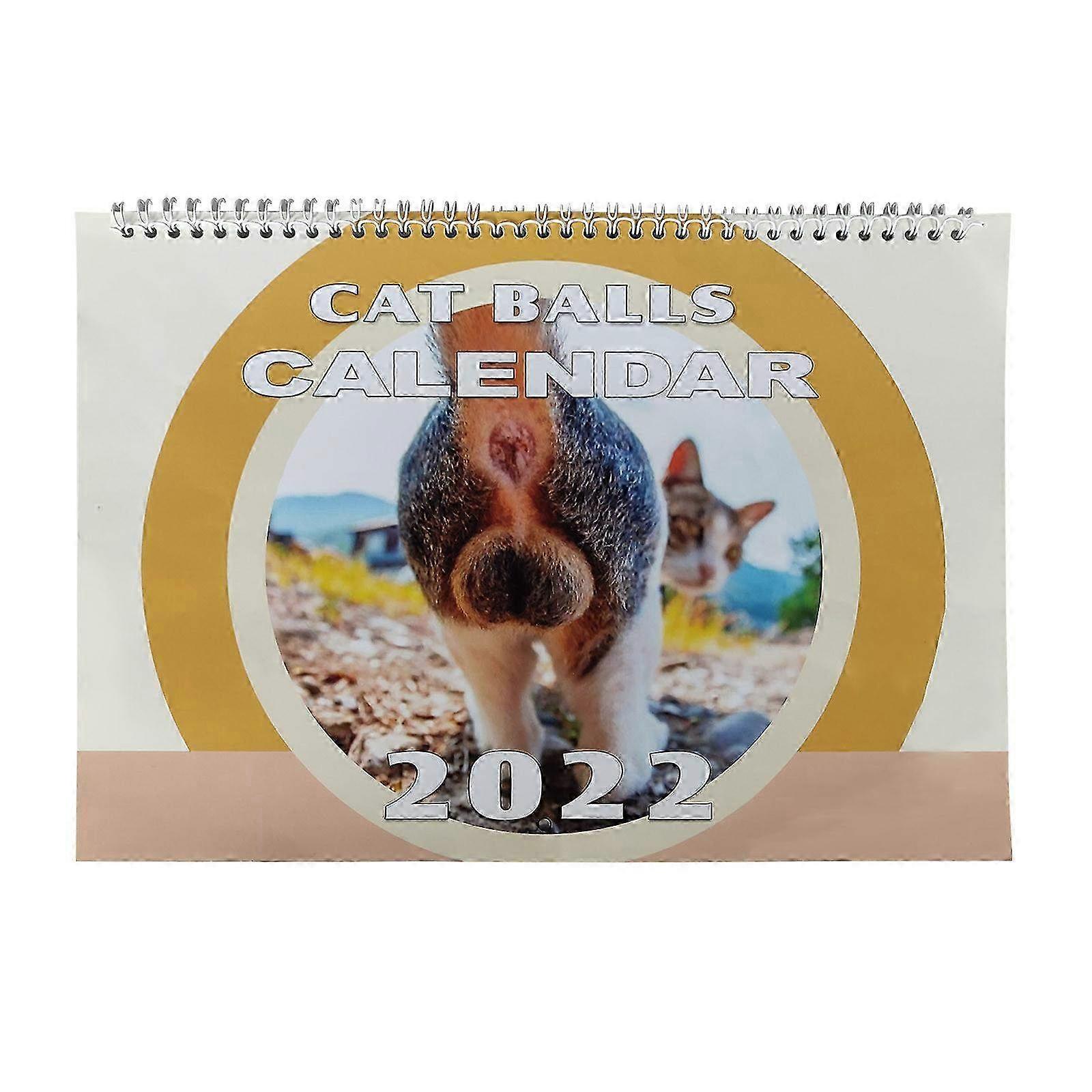 Page Turning Desktop Spoof Calendar - Fun Novelty Desk Calendar for Office & Home Decor