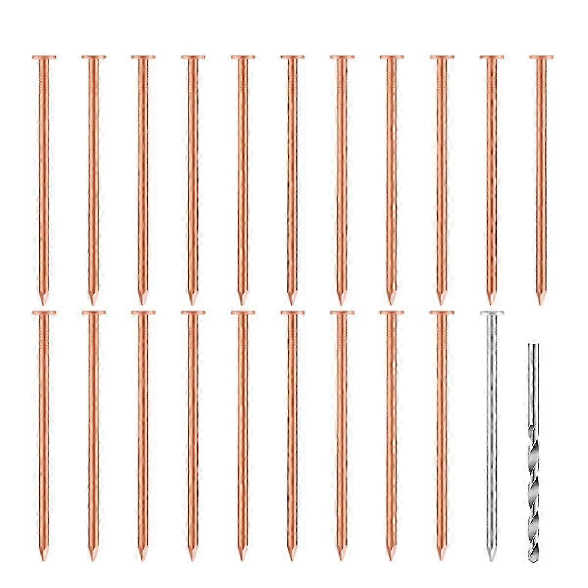 20 Pcs Pregos de Cobre para Remoção de Árvores e Tocos - 3,5 Polegadas de Comprimento com 1 Prego de Aço e 1 Broca