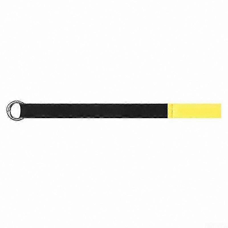 Rear Door Manual Release Handle for Electric SUV Models