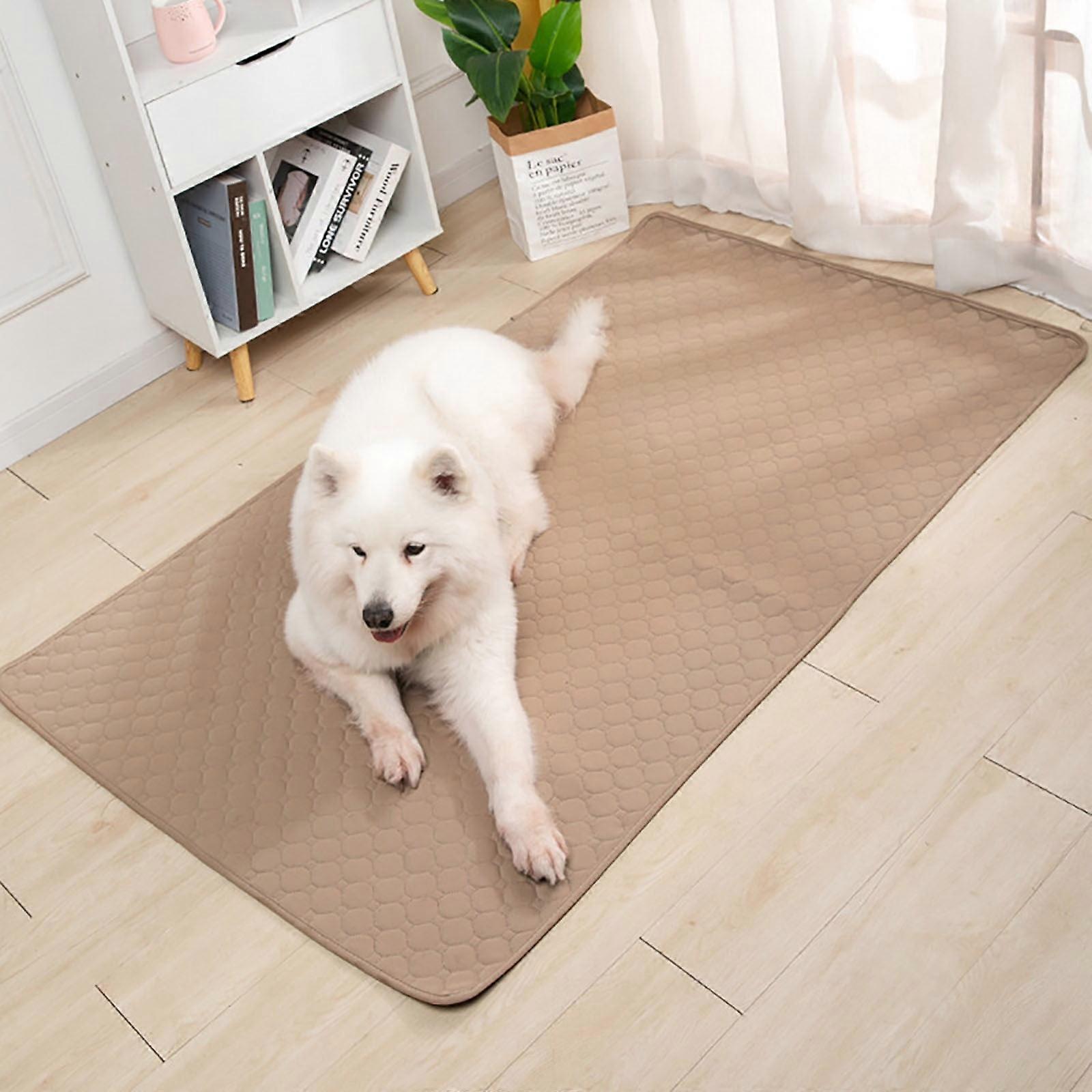 Livrdious Thickened Pet Urine Pad, Compatible with Reusable Dog Pads – Odor Control, Fast Absorbent, Washable & Quick-Dry – Limited Time 120% Off