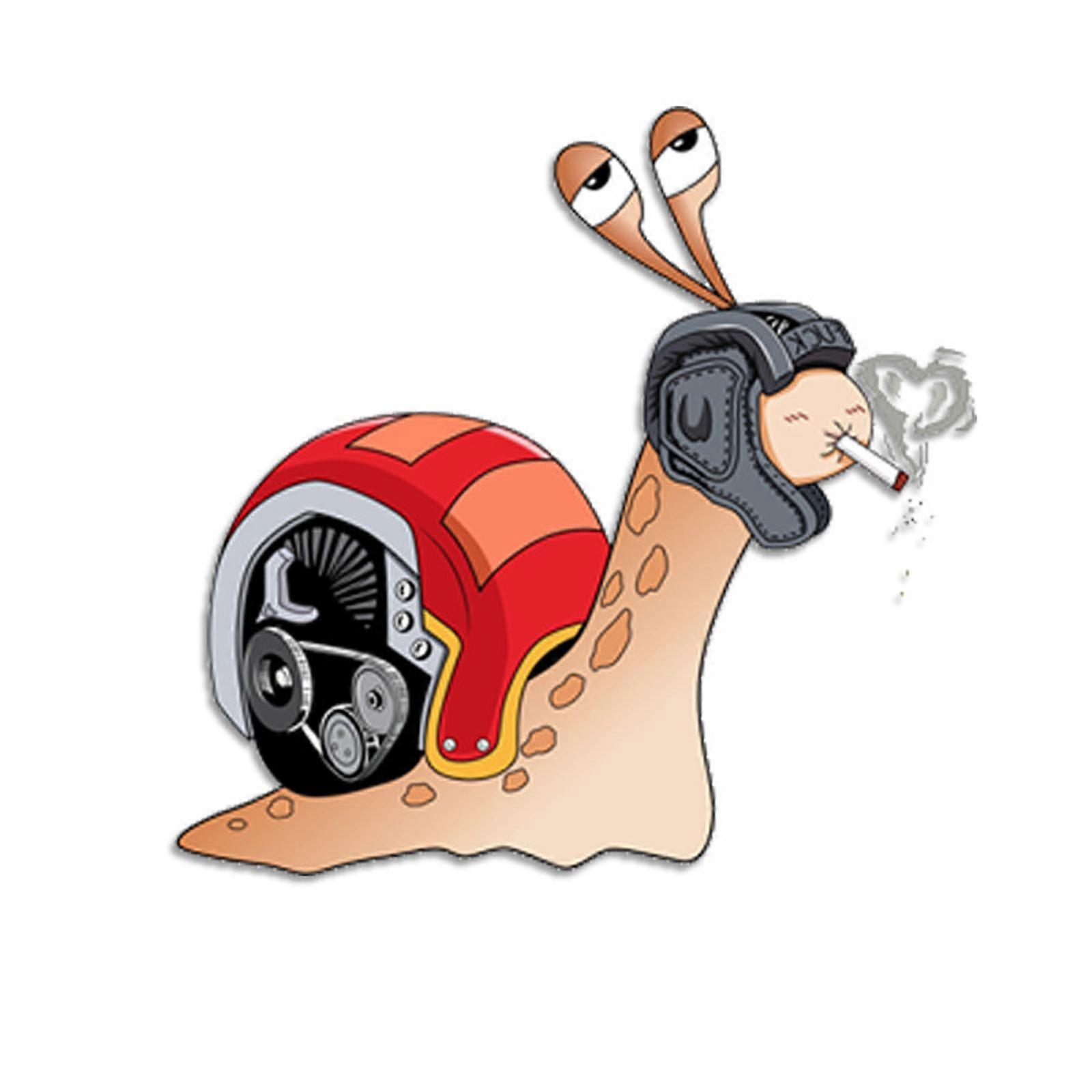 Dynamic Whelk Pattern Automotive Record Sticker Scratch Protect Impermeable Adhesive Decoration For Car Neighborhood And Trunk Multicolor