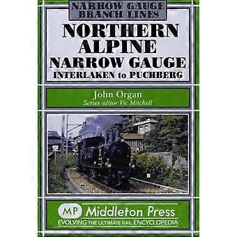 Nördlichen Alpine Schmalspur: Interlaken, Pubhberg