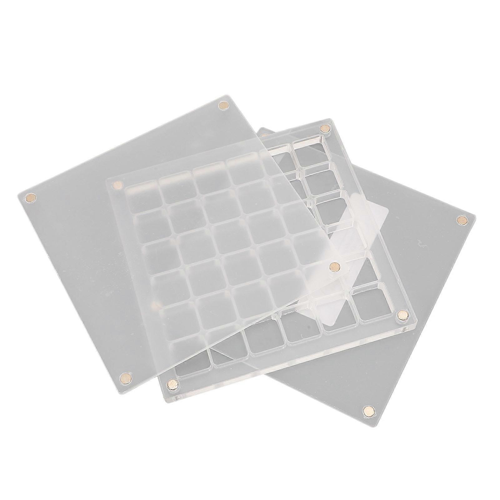 Collection Case Clear Seashell Seashell Storage Display Box Magnetic Acrylic