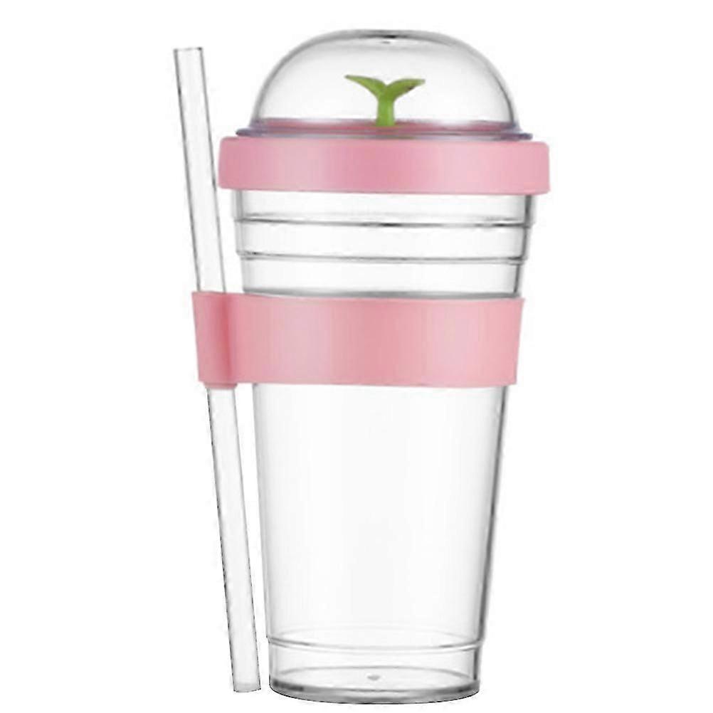 Reusable Portable Straw Cup Convenient Water Cup for Drinking