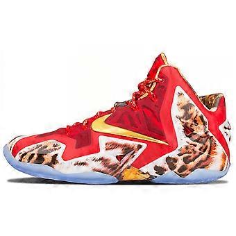 Nike LeBron 11 NBA 2K14 650884-674