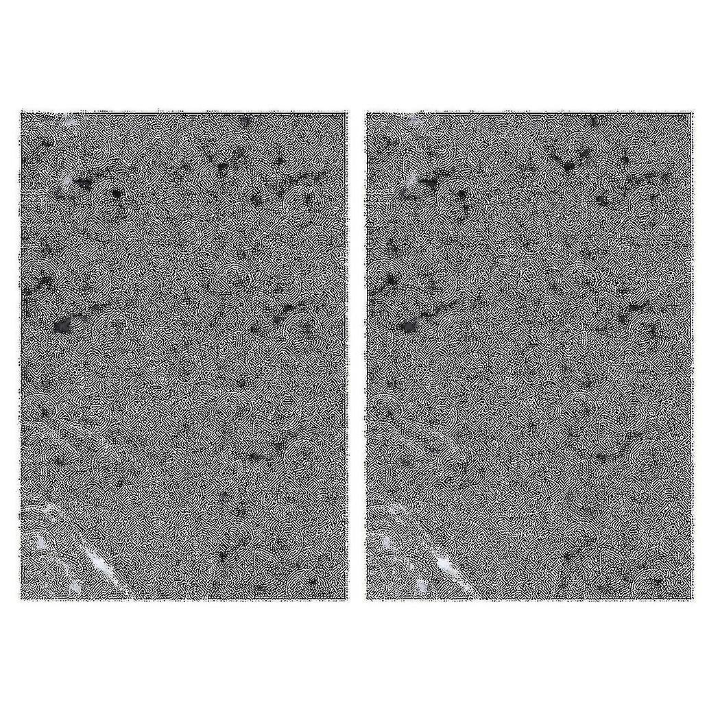 2x Hydrographic Film - Water Transfer Printing - Hydro Dipping - Rolling Bones - 1 Meter