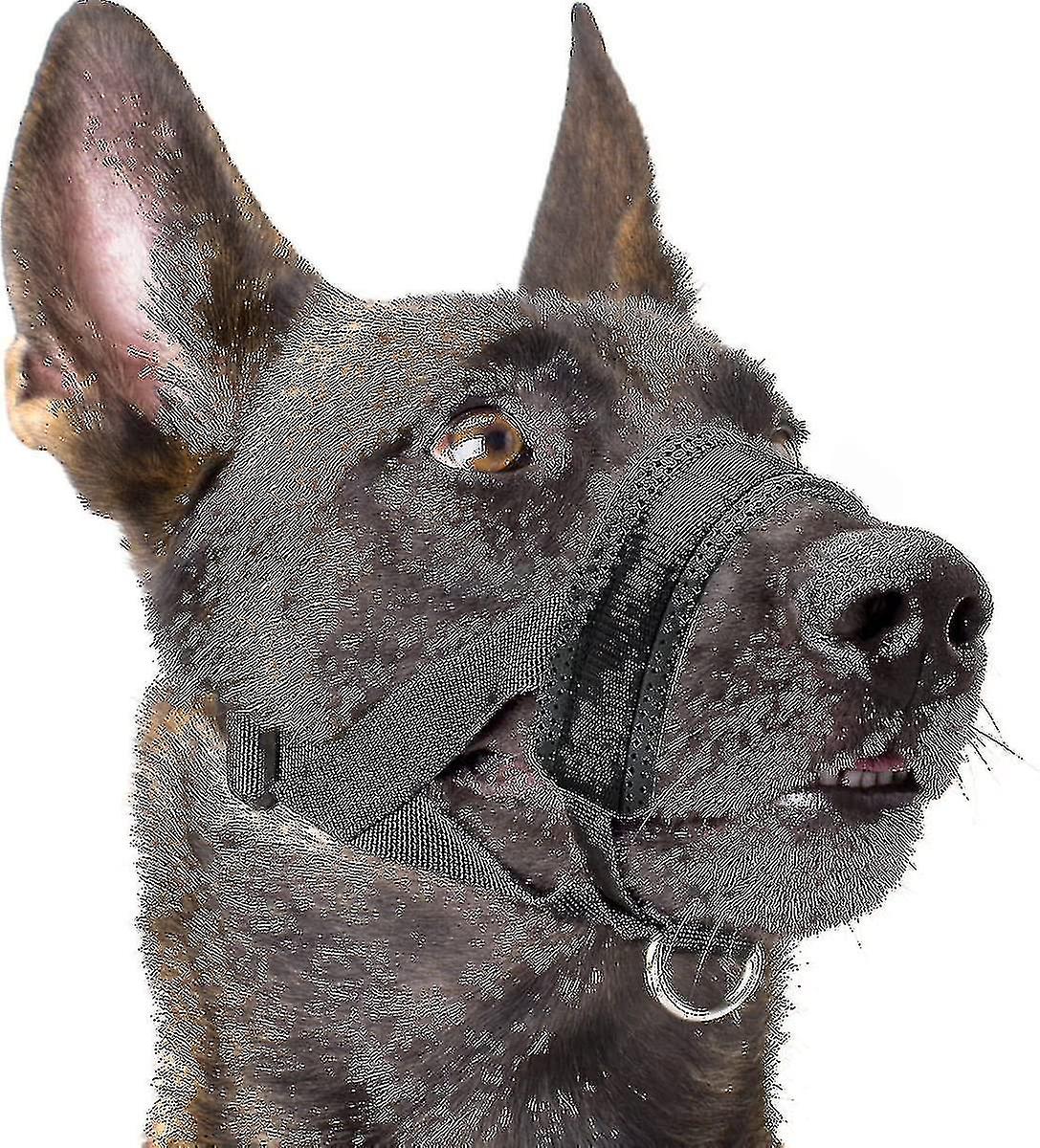 Nylon Soft Dog Muzzle, Anti-bit, Anti-bark, Anti-chew, Adjustable Ring (xl, Black)